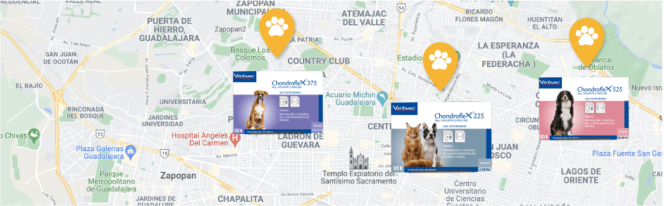 Encuentra el producto en la clínica veterinaria más cercana